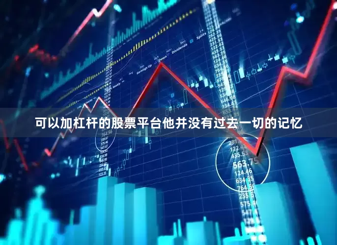可以加杠杆的股票平台他并没有过去一切的记忆