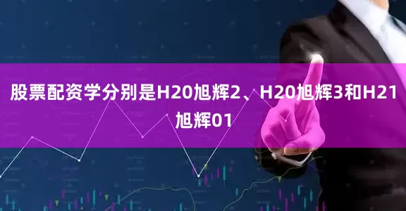 股票配资学分别是H20旭辉2、H20旭辉3和H21旭辉01