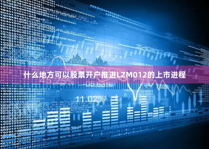 什么地方可以股票开户推进LZM012的上市进程