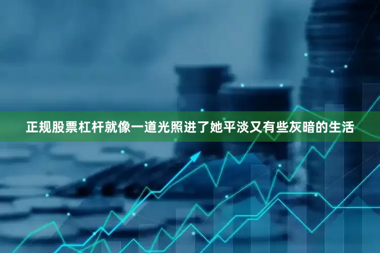 正规股票杠杆就像一道光照进了她平淡又有些灰暗的生活